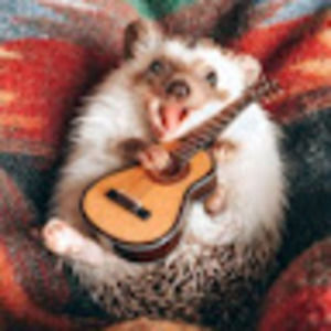 Meet your Posher, Alexa